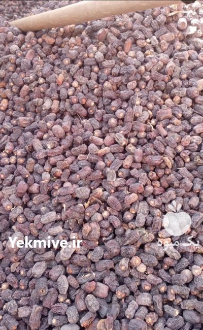 ضایعات خرما در گروه خرید و فروش خرما در یکمیوه -عکس1