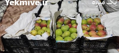 فروش گلابی درگزی در بروجرد در گروه خرید و فروش گلابی در یکمیوه -عکس1