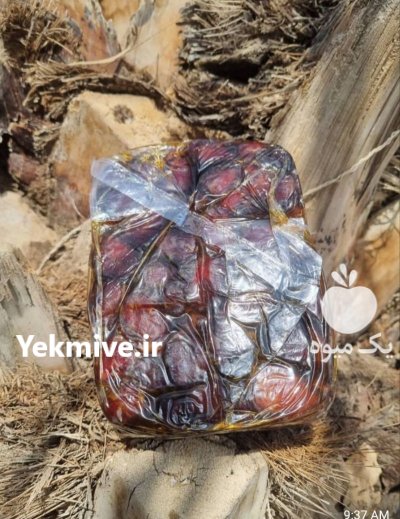 خرما کبکابجه 1 بوشهر در ساوه در گروه خرید و فروش خرما در یکمیوه -عکس2