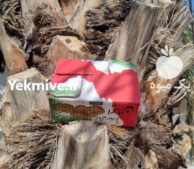 خرما کبکابجه 1 بوشهر در ساوه در گروه خرید و فروش خرما در یکمیوه -عکس1