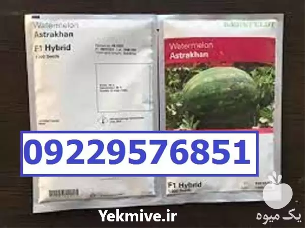 قیمت خرید بذر هندوانه استاراخان اصل در شیراز در گروه خرید و فروش بذر هندوانه در یکمیوه -عکس1