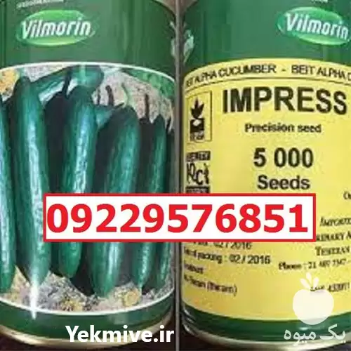 بذر خیار ویلمورین پرفروش اصل قیمت در زاهدان در گروه خرید و فروش بذر خیار در یکمیوه -عکس1