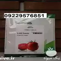 فروش بذر گوجه فرنگی بریویو اصل در سمنان در گروه خرید و فروش بذر گوجه در یکمیوه