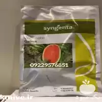 فروش بذر هندوانه گالاتا در گروه خرید و فروش بذر هندوانه در یکمیوه