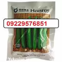 بذر خیار ویکتوریا پرفروش اصل در کرمان  در گروه خرید و فروش بذر خیار در یکمیوه