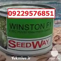 فروش بذر هندوانه وینستون در بوشهر در گروه خرید و فروش بذر هندوانه در یکمیوه