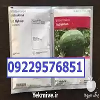 قیمت خرید بذر هندوانه استاراخان اصل در شیراز در گروه خرید و فروش بذر هندوانه در یکمیوه