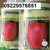 خرید بذر گوجه فرنگی متین پر در اهواز در گروه خرید و فروش بذر گوجه در یکمیوه