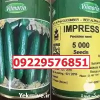 بذر خیار ویلمورین پرفروش اصل قیمت در زاهدان در گروه خرید و فروش بذر خیار در یکمیوه