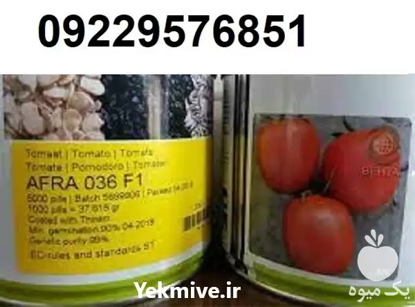 قیمت خرید قیمت بذر گوجه فرنگی در بوشهر در گروه خرید و فروش بذر گوجه در یکمیوه -عکس1