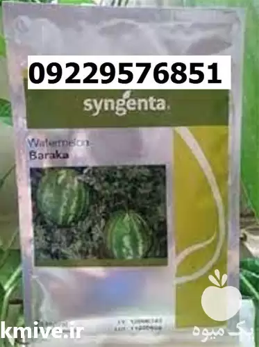 فروش بذر هندوانه باراکا پرفروش در گروه خرید و فروش بذر هندوانه در یکمیوه -عکس1