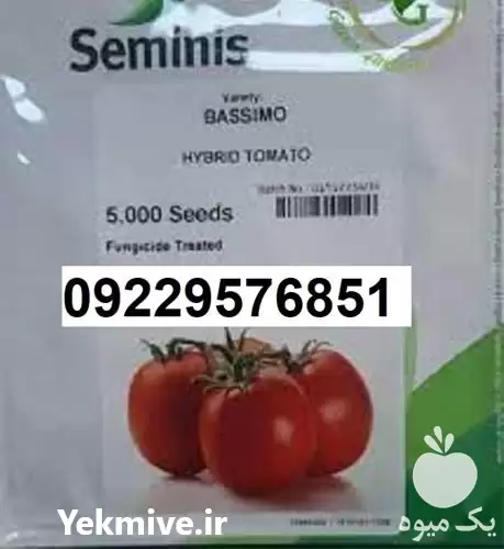 بذر گوجه فرنگی باسیمو پرفروش اصل در گروه خرید و فروش بذر گوجه در یکمیوه -عکس1