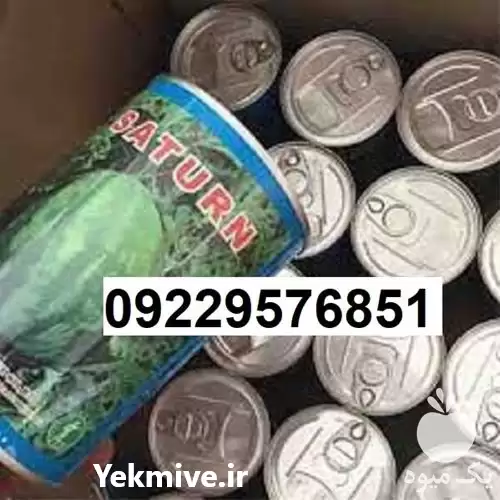 بذر هندوانه میکادو پرفروش در اهواز در گروه خرید و فروش بذر هندوانه در یکمیوه -عکس1