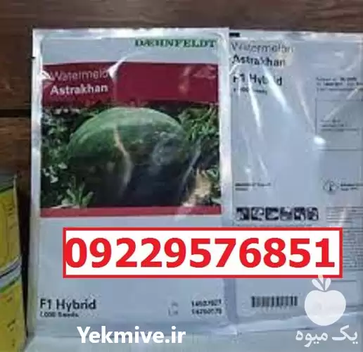 قیمت خرید بذر هندوانه استاراخان در اهواز در گروه خرید و فروش بذر هندوانه در یکمیوه -عکس1