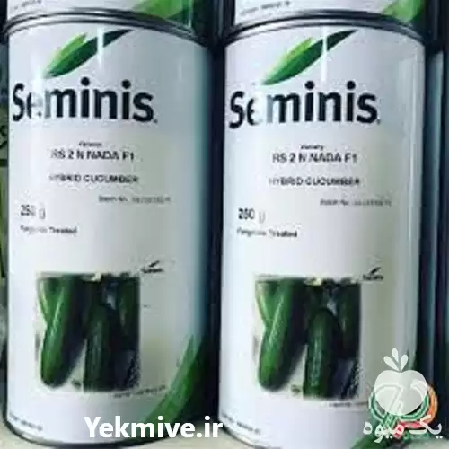 فروش بذر خیار سمینیس بازار پسند در گروه خرید و فروش بذر خیار در یکمیوه -عکس1