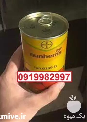 فروش بذر گوجه فرنگی سانسید 6189 در بوشهر در گروه خرید و فروش بذر گوجه در یکمیوه -عکس1