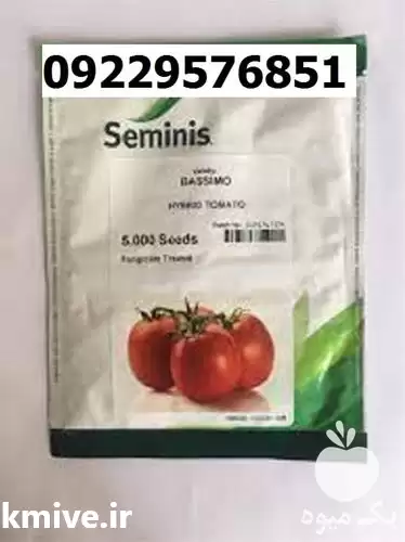 بذر گوجه فرنگیسیمو پرفروش در اصفهان در گروه خرید و فروش بذر گوجه در یکمیوه -عکس1