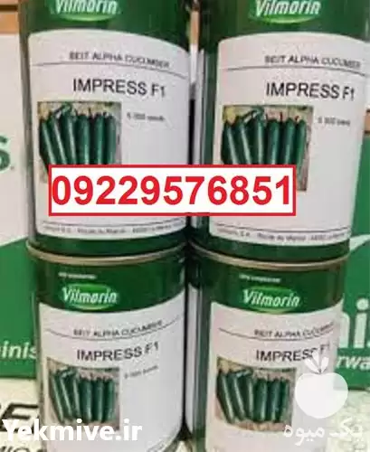 قیمت خرید بذر خیار ویلمورین پربار در اهواز در گروه خرید و فروش بذر خیار در یکمیوه -عکس1