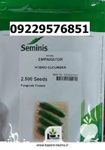 قیمت خرید بذر خیار امپراطور در گروه خرید و فروش بذر خیار در یکمیوه -عکس1