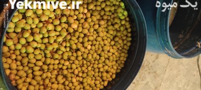 زیتون شور در سرپل ذهاب در گروه محصولات ترشی در یکمیوه -عکس2