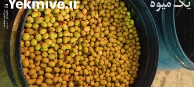 زیتون شور در سرپل ذهاب در گروه محصولات ترشی در یکمیوه -عکس3