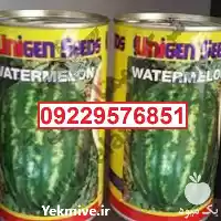 فروش بذر هندوانه پربار سامانتا در گروه خرید و فروش بذر هندوانه در یکمیوه