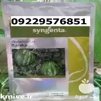 فروش بذر هندوانه باراکا پرفروش در گروه خرید و فروش بذر هندوانه در یکمیوه