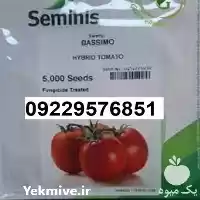 بذر گوجه فرنگی باسیمو پرفروش اصل در گروه خرید و فروش بذر گوجه در یکمیوه