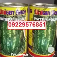 قیمت خرید عرضه توزیع بذر هندوانه در گروه خرید و فروش بذر هندوانه در یکمیوه
