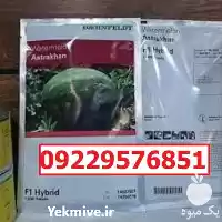 قیمت خرید بذر هندوانه استاراخان در اهواز در گروه خرید و فروش بذر هندوانه در یکمیوه