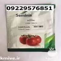 بذر گوجه فرنگیسیمو پرفروش در اصفهان در گروه خرید و فروش بذر گوجه در یکمیوه