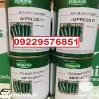 قیمت خرید بذر خیار ویلمورین پربار در اهواز در گروه خرید و فروش بذر خیار در یکمیوه