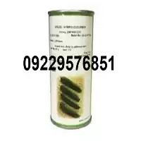 بذر پر فروش خیار امپراطور در گروه خرید و فروش بذر خیار در یکمیوه