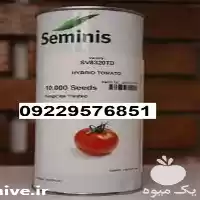 بذر گوجه فرنگی 8320 پرفروش اصل در اهواز در گروه خرید و فروش بذر گوجه در یکمیوه