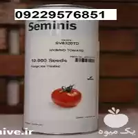 قیمت بذر گوجه فرنگی 8320 میان در گروه خرید و فروش بذر گوجه در یکمیوه