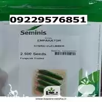 قیمت خرید بذر خیار امپراطور در گروه خرید و فروش بذر خیار در یکمیوه