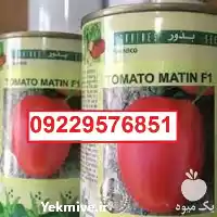 توزیع بذر گوجه فرنگی متین پرفروش در اهواز در گروه خرید و فروش بذر گوجه در یکمیوه