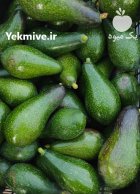 فروش آووکادو کیلویی در چابکسر در گروه خرید و فروش میوه استوایی در یکمیوه