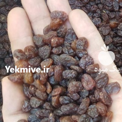 فروش کشمش افتابی تیزابی سایه خشک در قزوین در گروه خرید و فروش آجیل در یکمیوه -عکس1