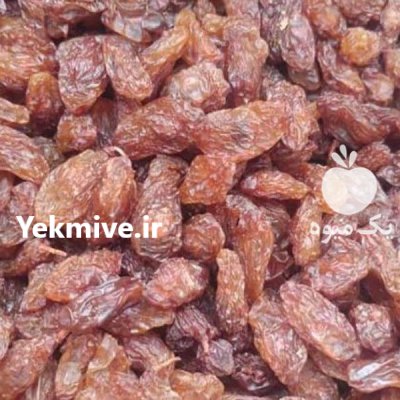 فروش کشمش افتابی تیزابی سایه خشک در قزوین در گروه خرید و فروش آجیل در یکمیوه -عکس3