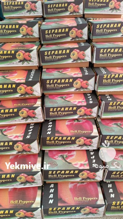 خرید و فروش انواع فلفل در گروه خرید و فروش فلفل در یکمیوه -عکس1