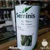 بذر خیار رویال پرفروش در گروه خرید و فروش بذر خیار در یکمیوه