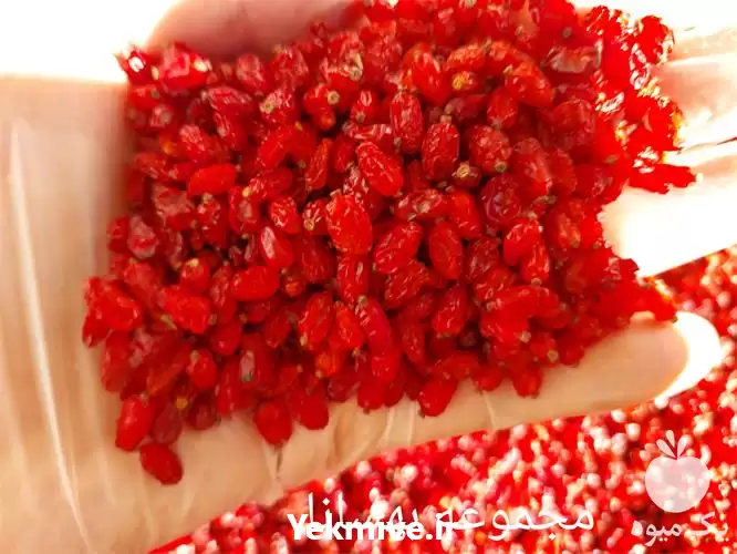 فروش قیمت زرشک در قم در گروه خرید و فروش زرشک در یکمیوه -عکس1