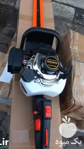 فروش شمشاد زن در کرج در گروه خرید و فروش شمشاد زن در یکمیوه -عکس1