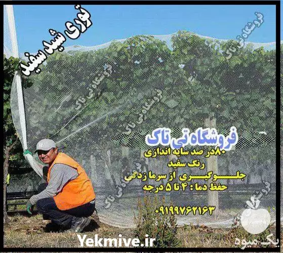 قیمت خرید توری ضد سرما شید در گروه خرید و فروش توری گلخانه در یکمیوه -عکس1
