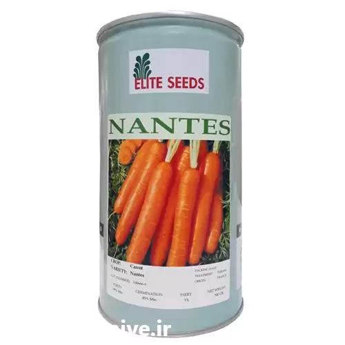 فروش بذر هویج الیت سیدز elite در گروه خرید و فروش بذر هویج در یکمیوه -عکس1