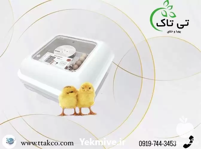قیمت خرید دستگاه جوجه کشی صنعتی در تهران در گروه تجهیزات مرغداری در یکمیوه -عکس1