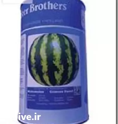 فروش بذر هندوانه کریسمون بیکر در تهران در گروه خرید و فروش بذر هندوانه در یکمیوه -عکس1