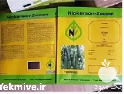 قیمت خرید قیمت بذر خیار کیهان در تهران در گروه خرید و فروش بذر خیار در یکمیوه -عکس1