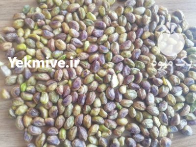 فروش پسته مغز پسته خراسان کشت در گروه خرید و فروش پسته در یکمیوه -عکس1